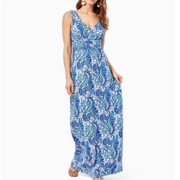 Lilly Pulitzer Dresses & Skirts - Lilly Pulitzer Medium M Bird Is The Word Sloane Maxi Dress Blue Coastal Beach